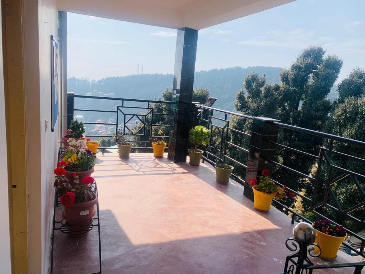 Oasis Guest House Bhagsu D'Shala Dharamsala Zewnętrze zdjęcie
