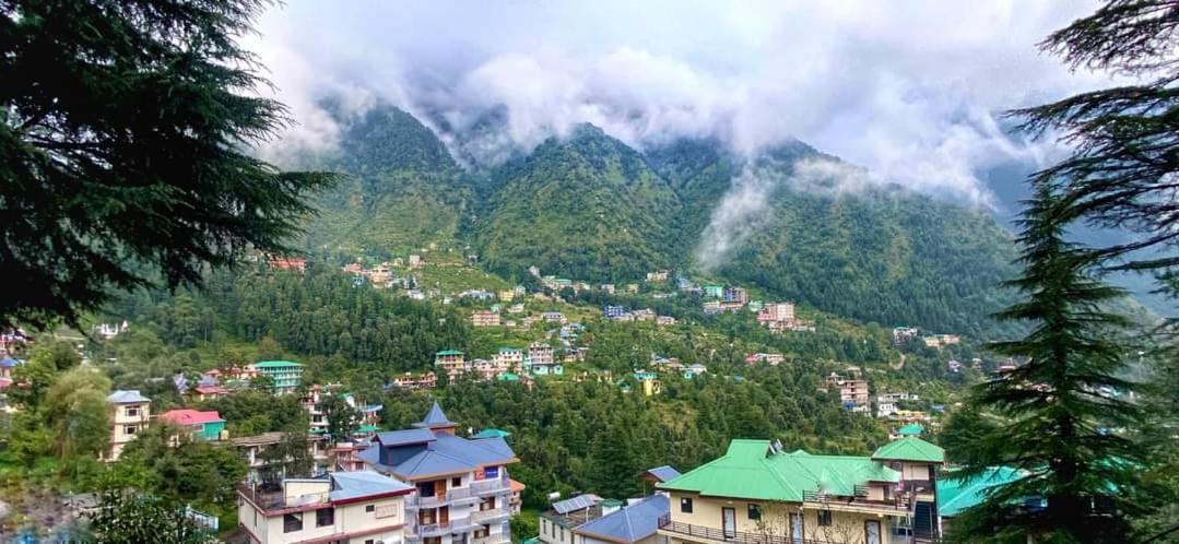 Oasis Guest House Bhagsu D'Shala Dharamsala Zewnętrze zdjęcie