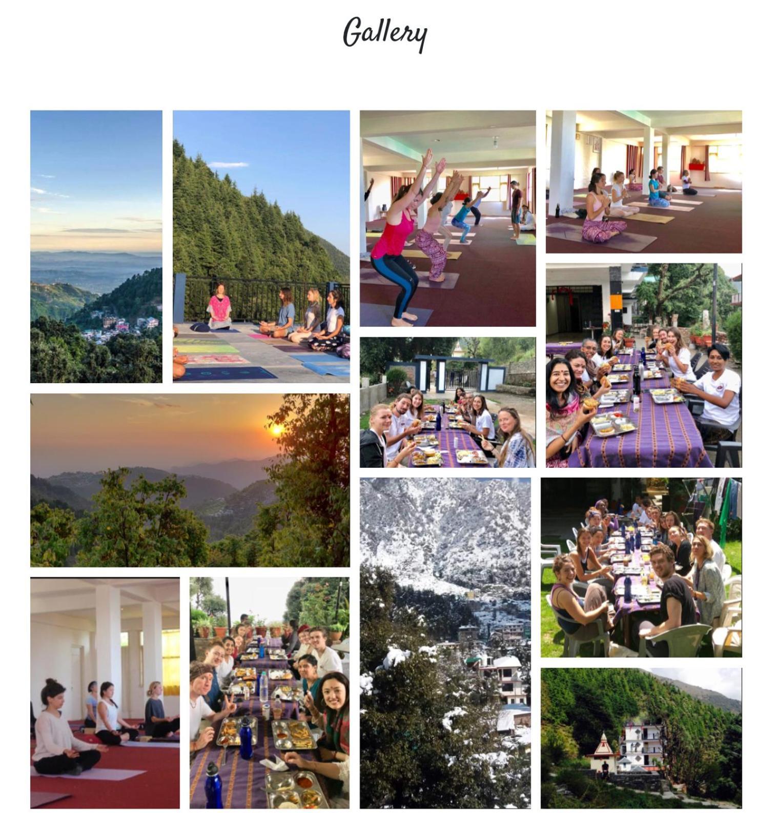 Oasis Guest House Bhagsu D'Shala Dharamsala Zewnętrze zdjęcie