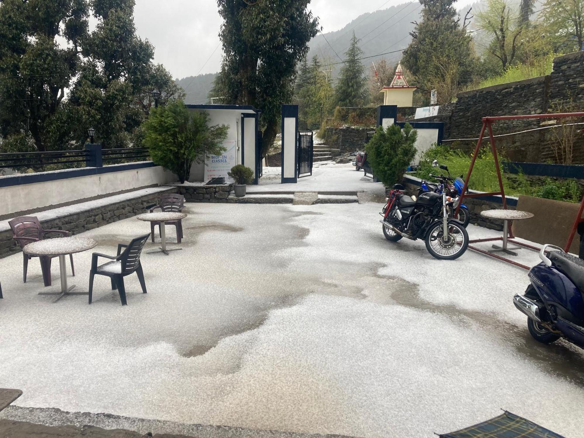 Oasis Guest House Bhagsu D'Shala Dharamsala Zewnętrze zdjęcie