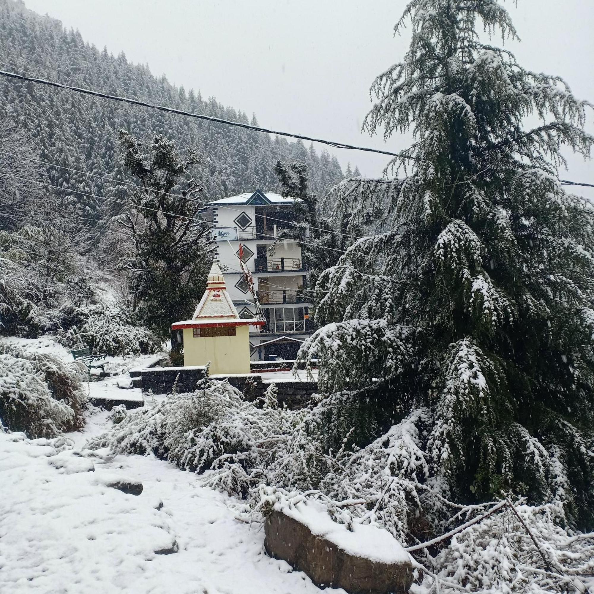 Oasis Guest House Bhagsu D'Shala Dharamsala Zewnętrze zdjęcie