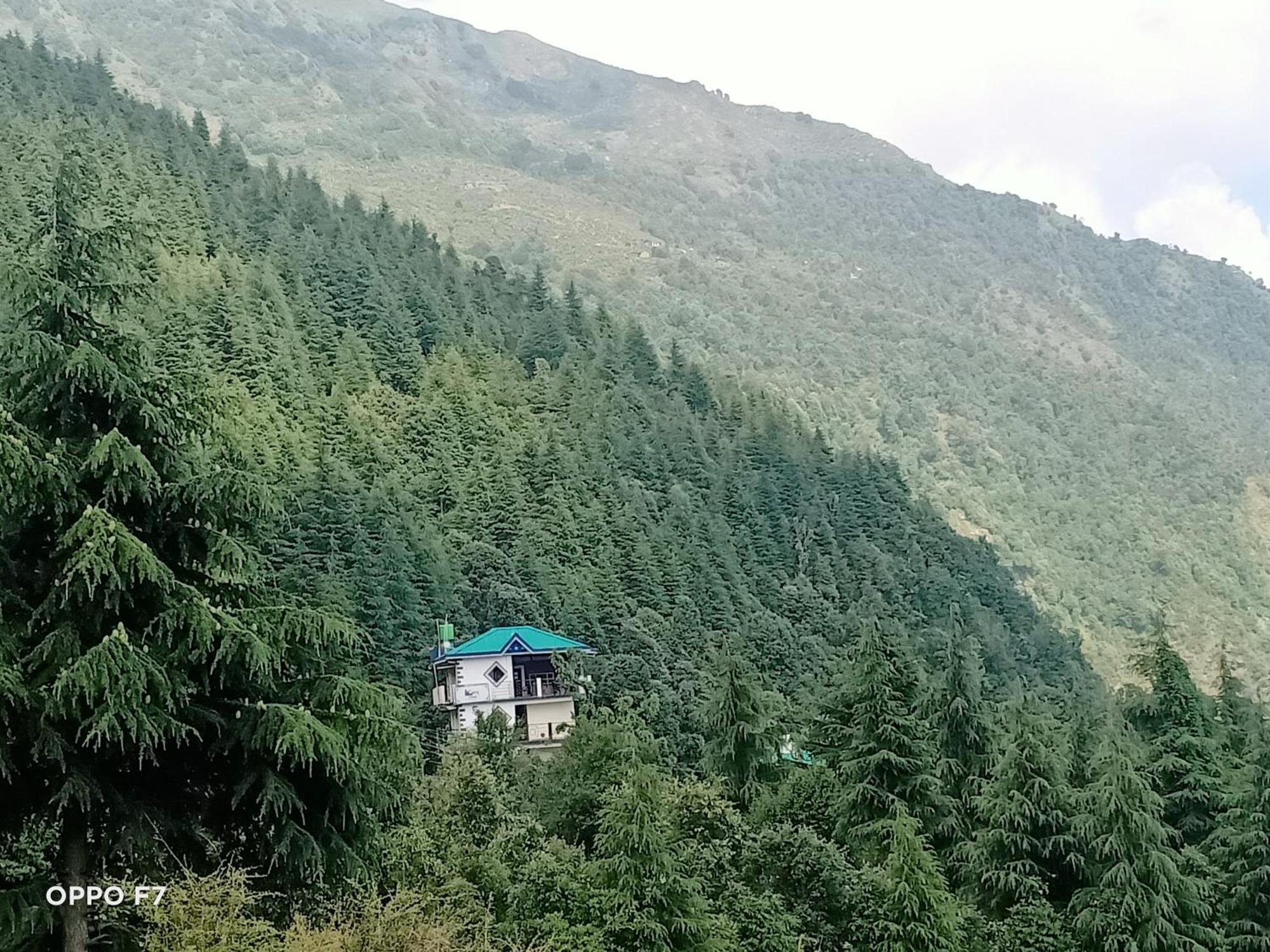 Oasis Guest House Bhagsu D'Shala Dharamsala Zewnętrze zdjęcie